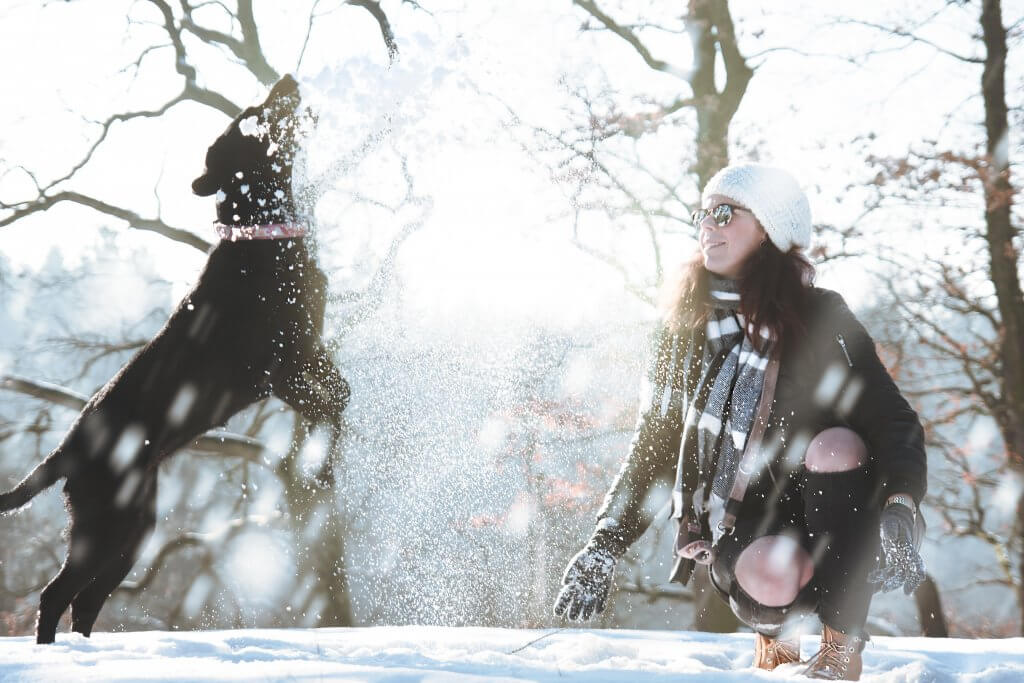 Wintersport hond checklist
