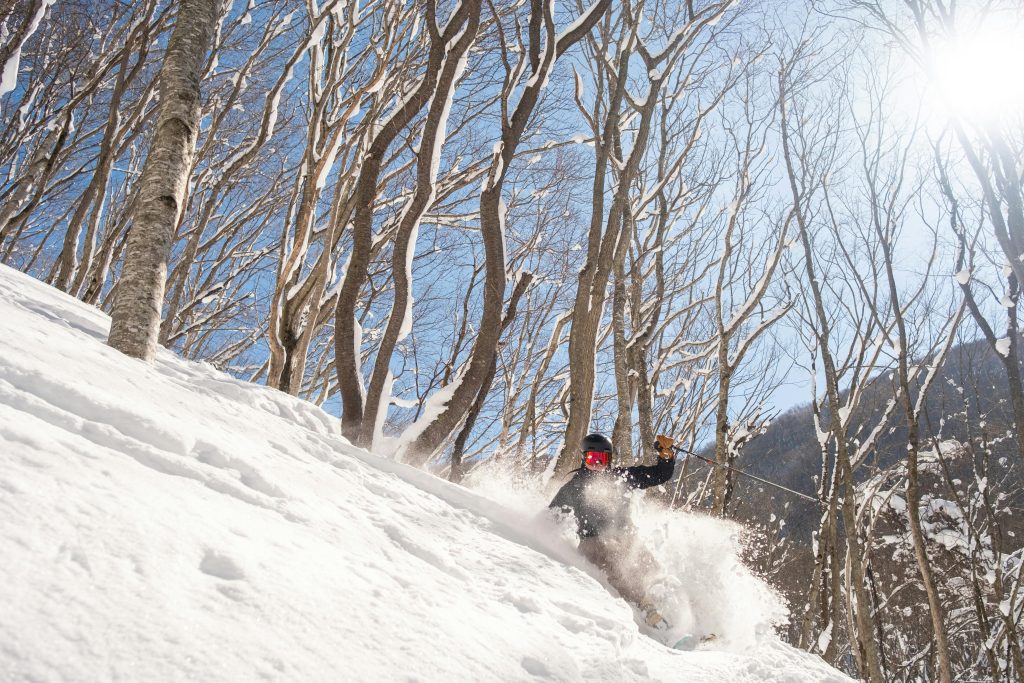 Freeride spots van wereldklasse de ultieme poederbestemmingen