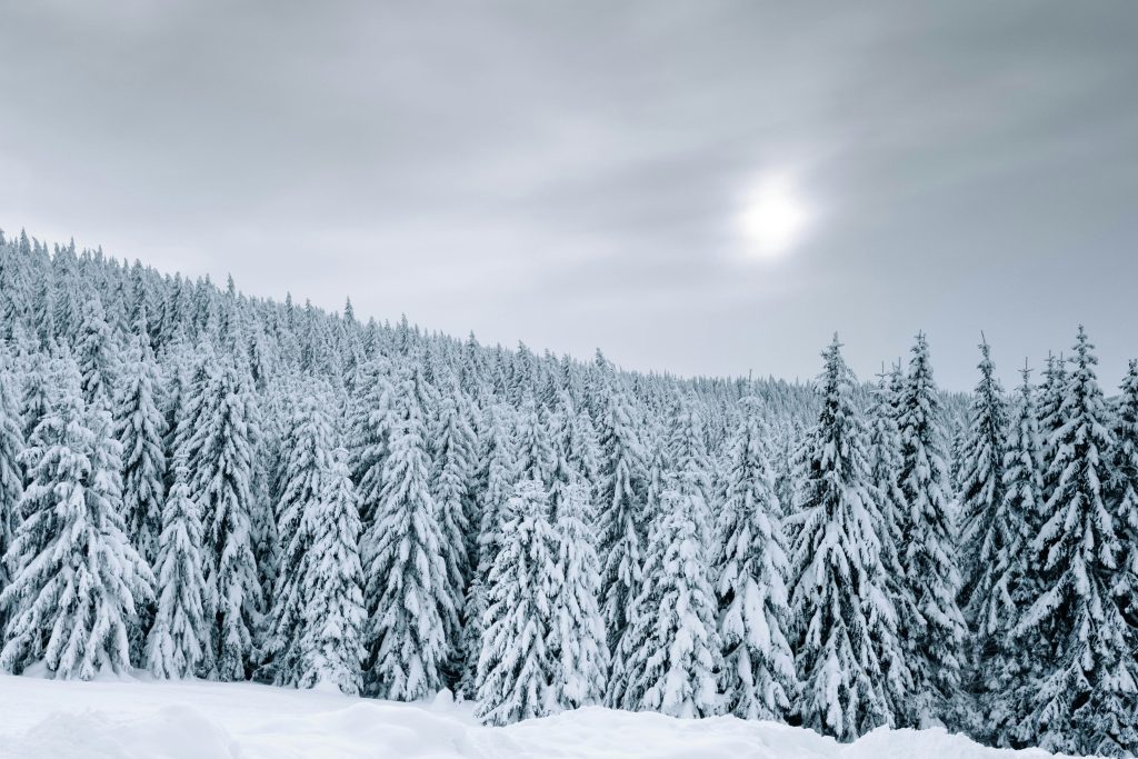 minimalistische wintervakantie